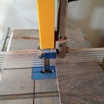 IMG_1196.jpg